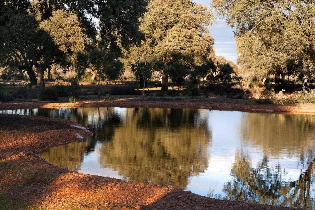 Casa Rural Finca Requejo Cerca De Benavente Tr 49426 Manganeses de la Polvorosa Exterior foto
